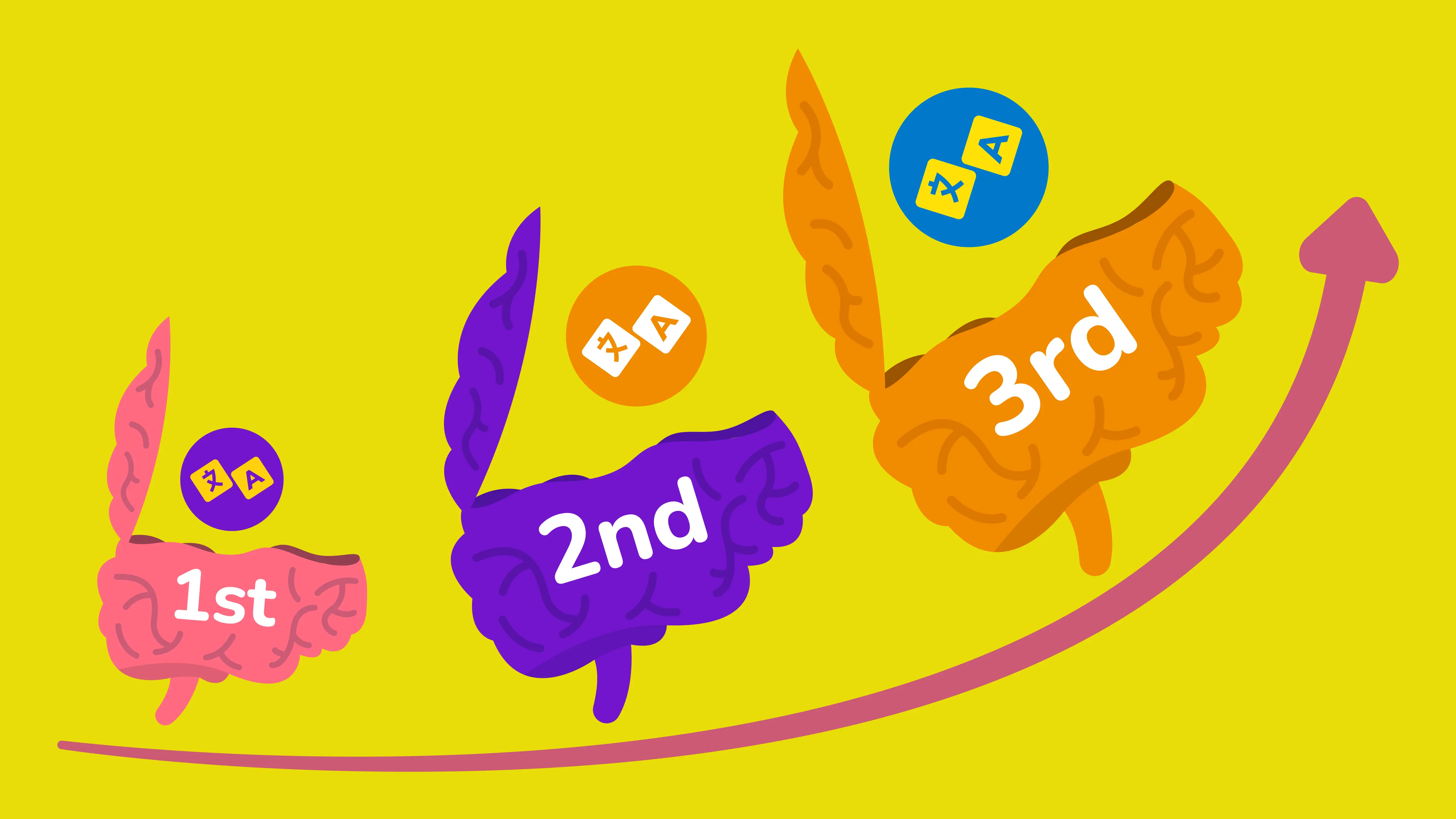 Is Learning a Third Language Easier than Learning a Second?